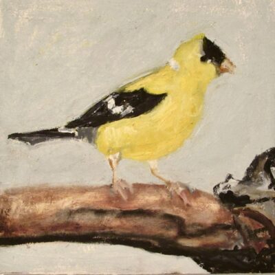 Goldfinch #1